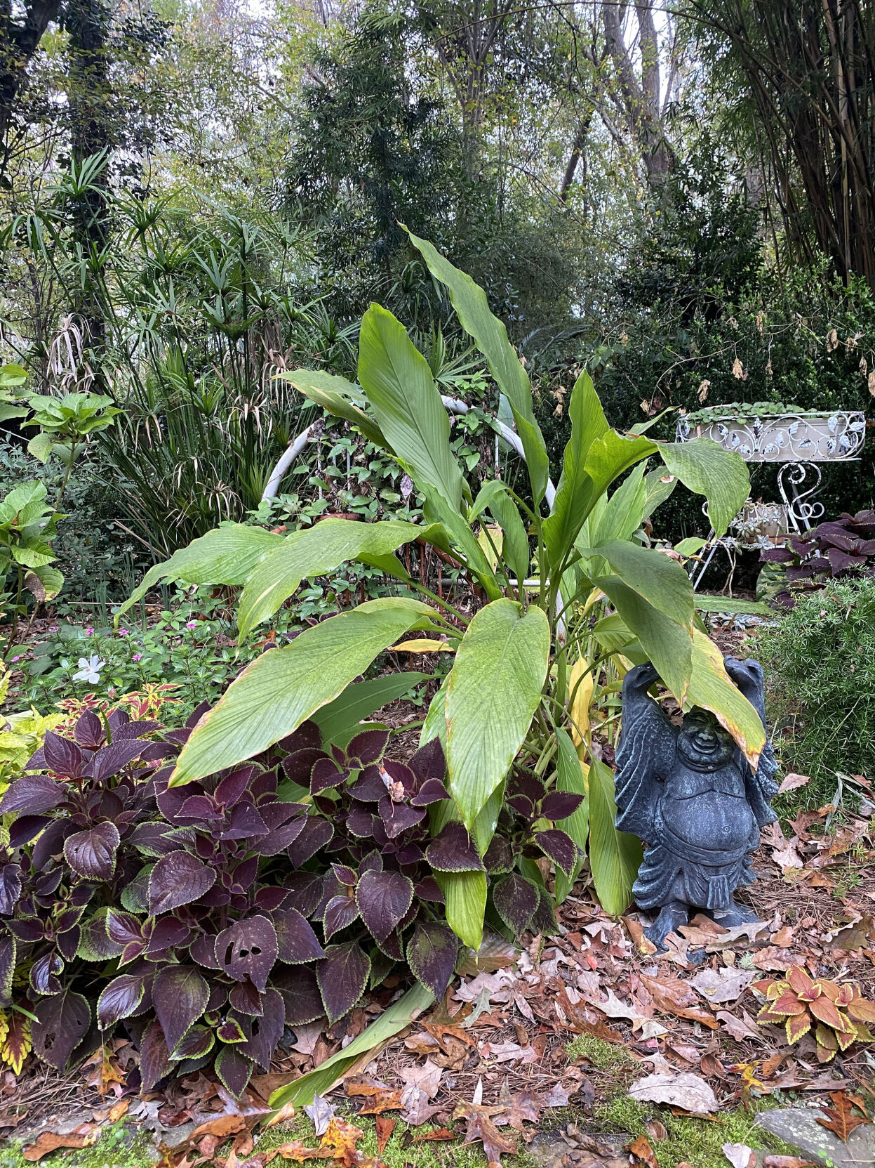 Gardening